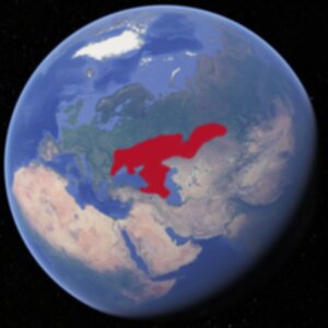 Steppe pontico-caspiche