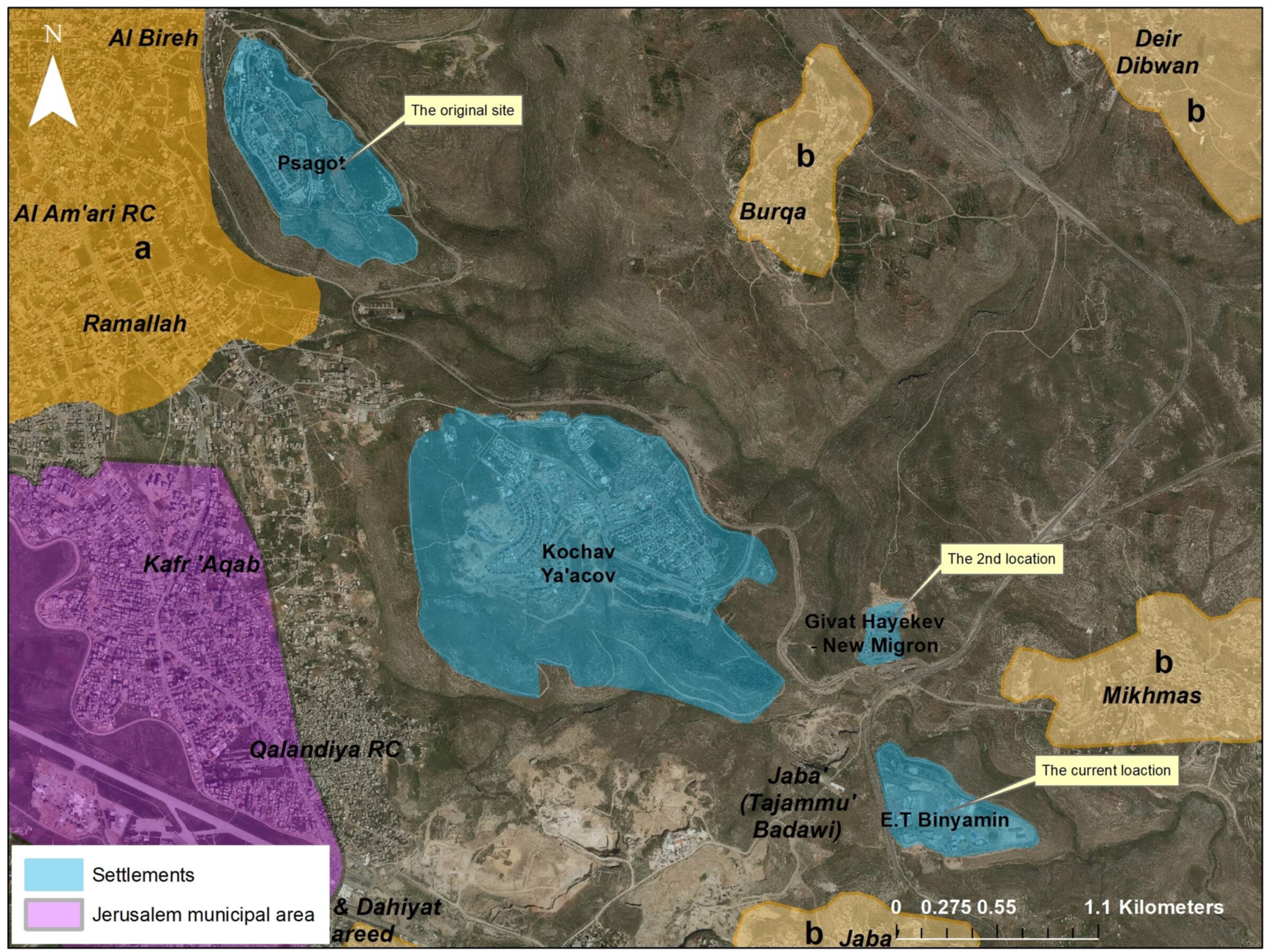 Insediamenti ebraici