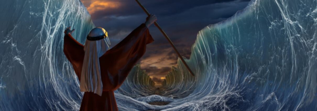 Ribolle il Mar Rosso