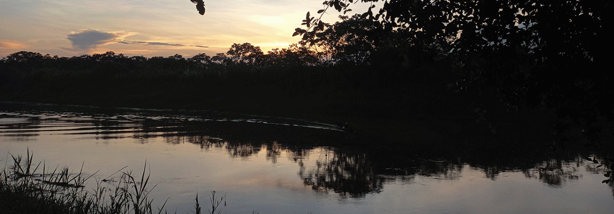 Non è un approccio a favore dell'ambiente