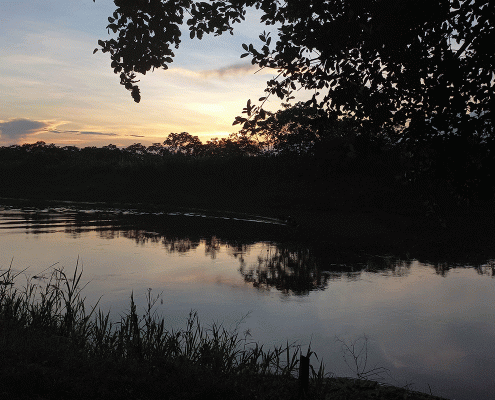 Non è un approccio a favore dell'ambiente