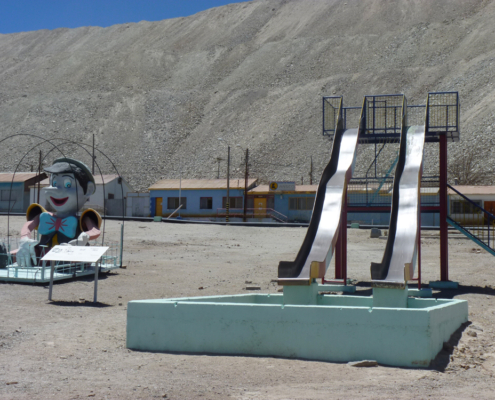 I fiori avvelenati di Atacama