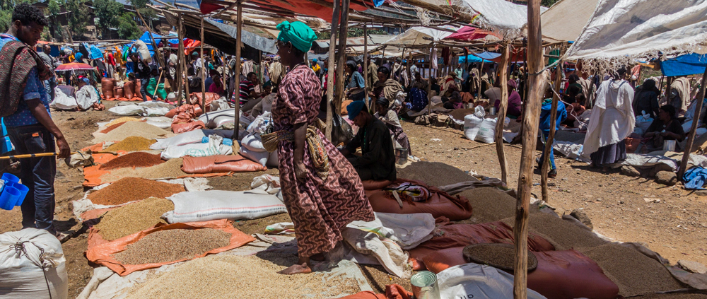 la strategia del grano