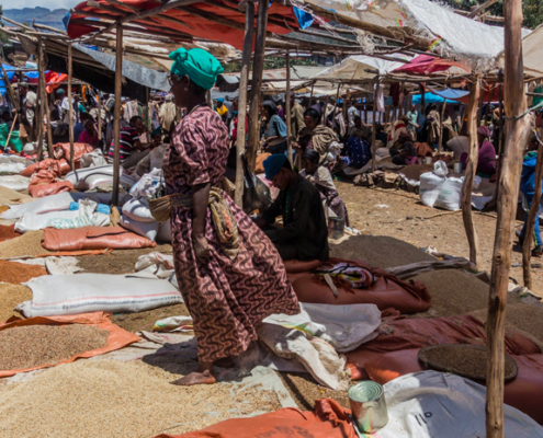 la strategia del grano